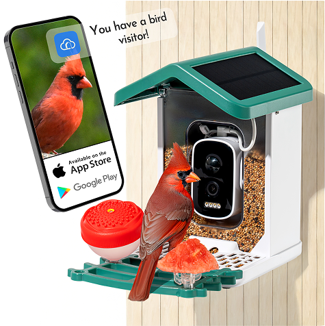 Happy Birdy AI Feeder