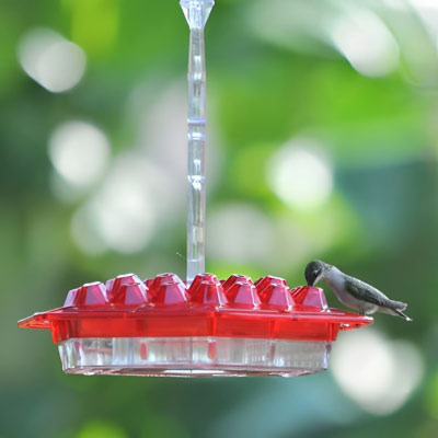 Sherem Hummingbird Feeder